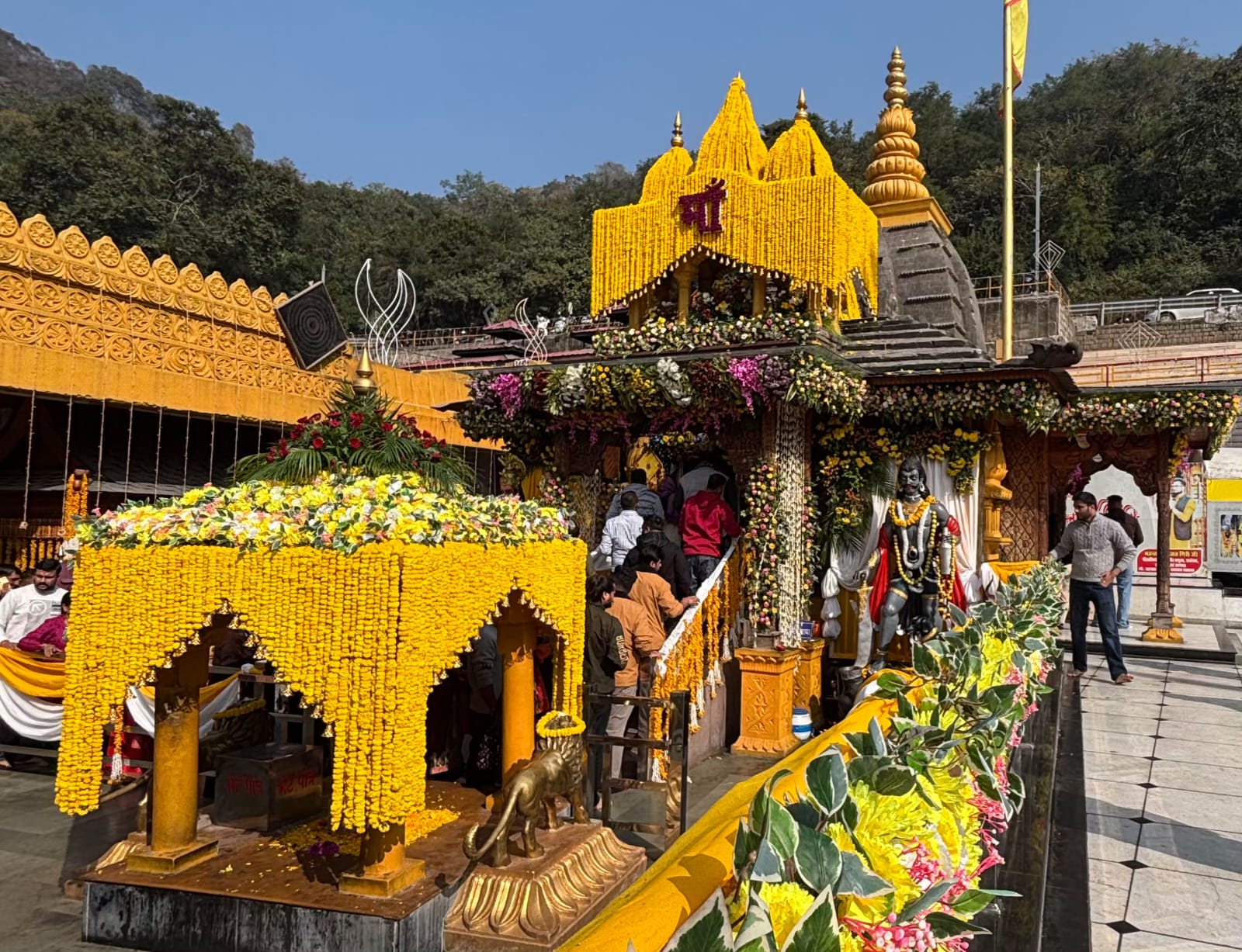 Maa Bagalamukhi Trip